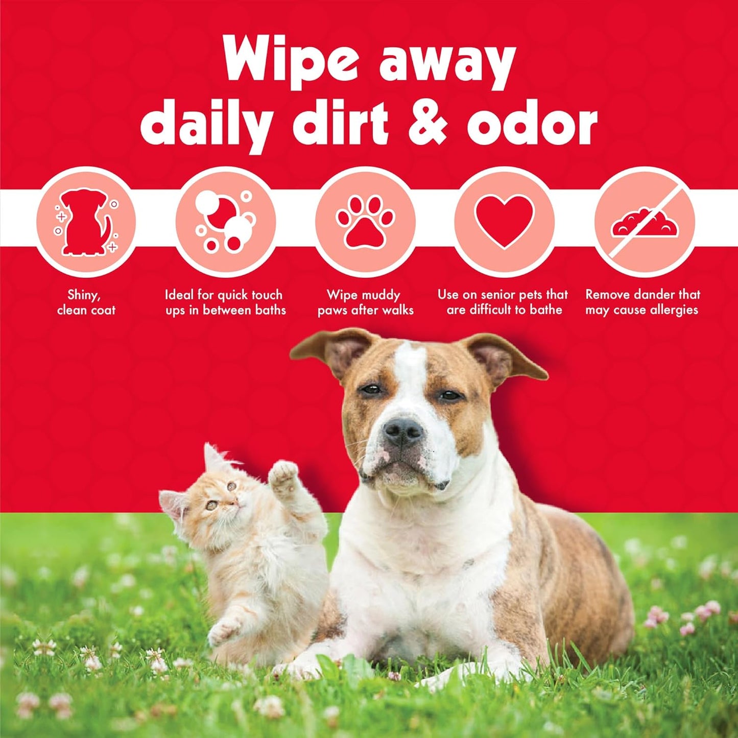 Pet Wipes for Dogs & Cats - 200 Large Wipes - Removes Dirt & Odor - Cleans Ears, Face, Butt, Eye Area - Convenient for Home or Travel - 2 Packs.