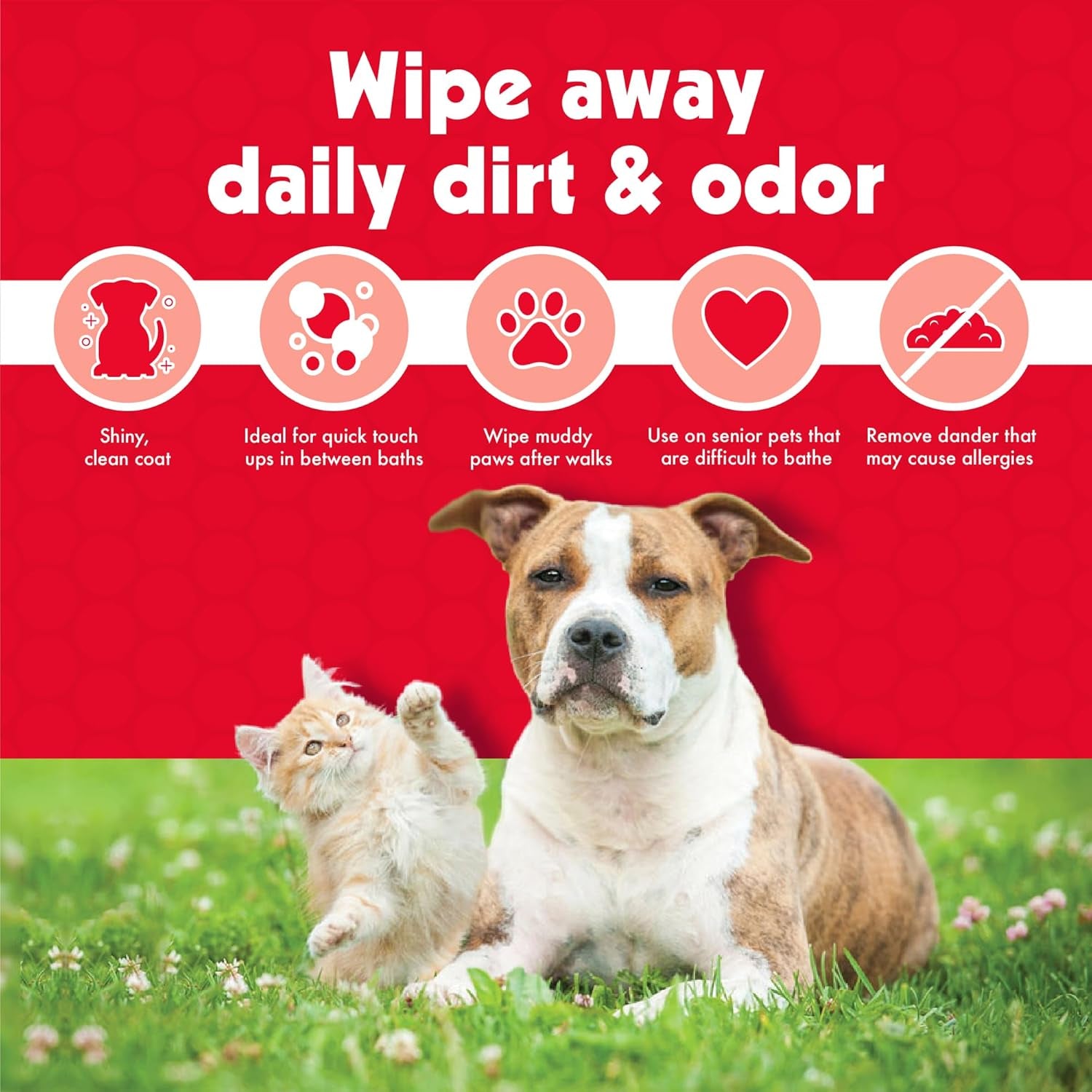 Pet Wipes for Dogs & Cats - 200 Large Wipes - Removes Dirt & Odor - Cleans Ears, Face, Butt, Eye Area - Convenient for Home or Travel - 2 Packs.